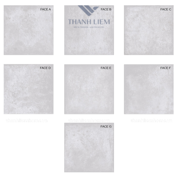 gach lat nen Viglacera Platinum PT20-G6602