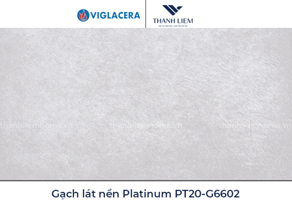 gach lat nen Viglacera Platinum PT20-G6602