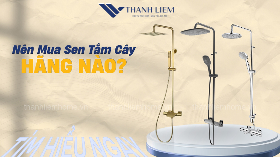 nen mua cay sen tam cua hang nao