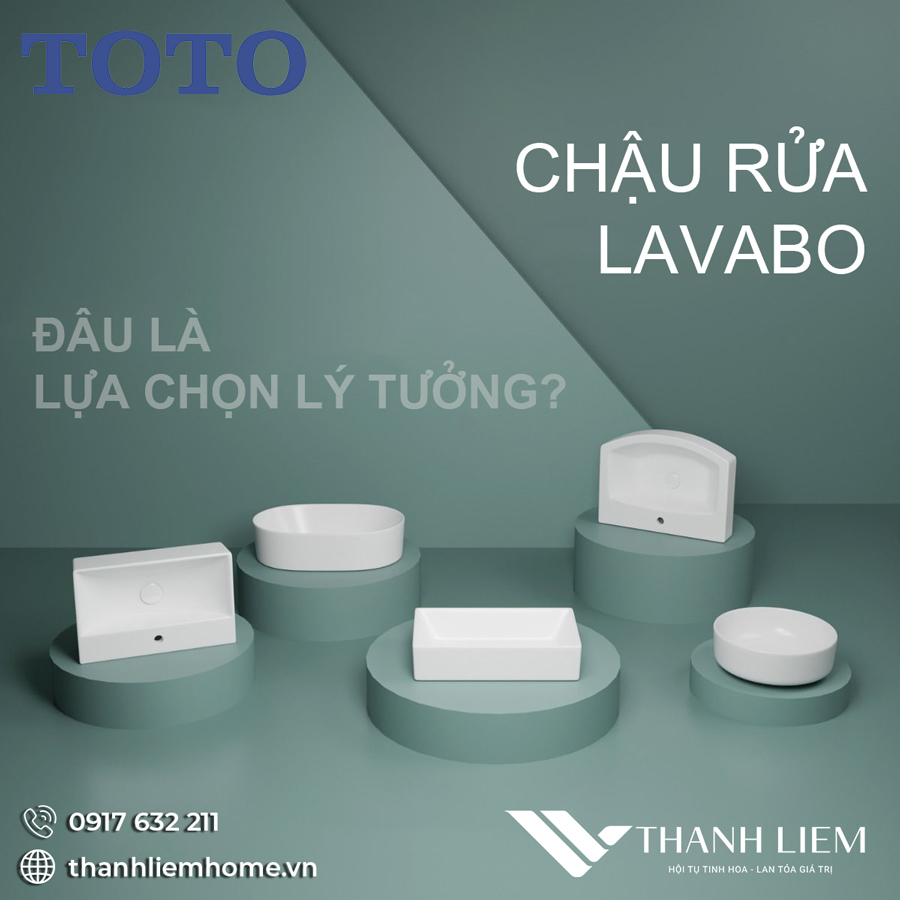 gia chau rua toto