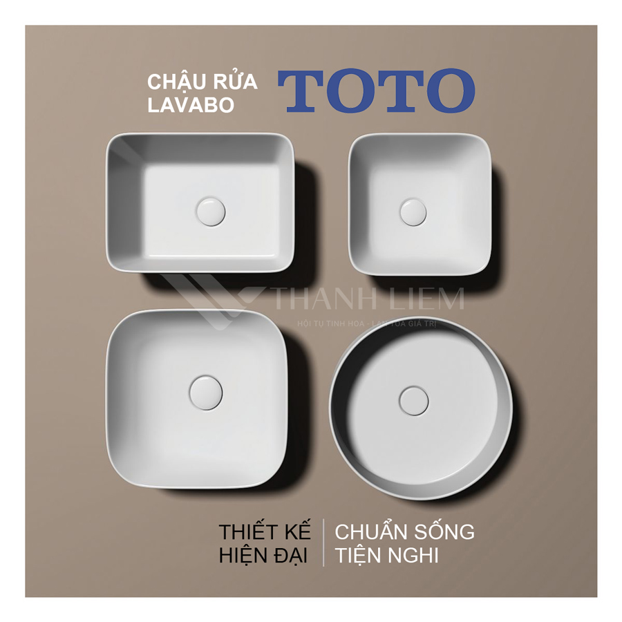 gia chau rua toto