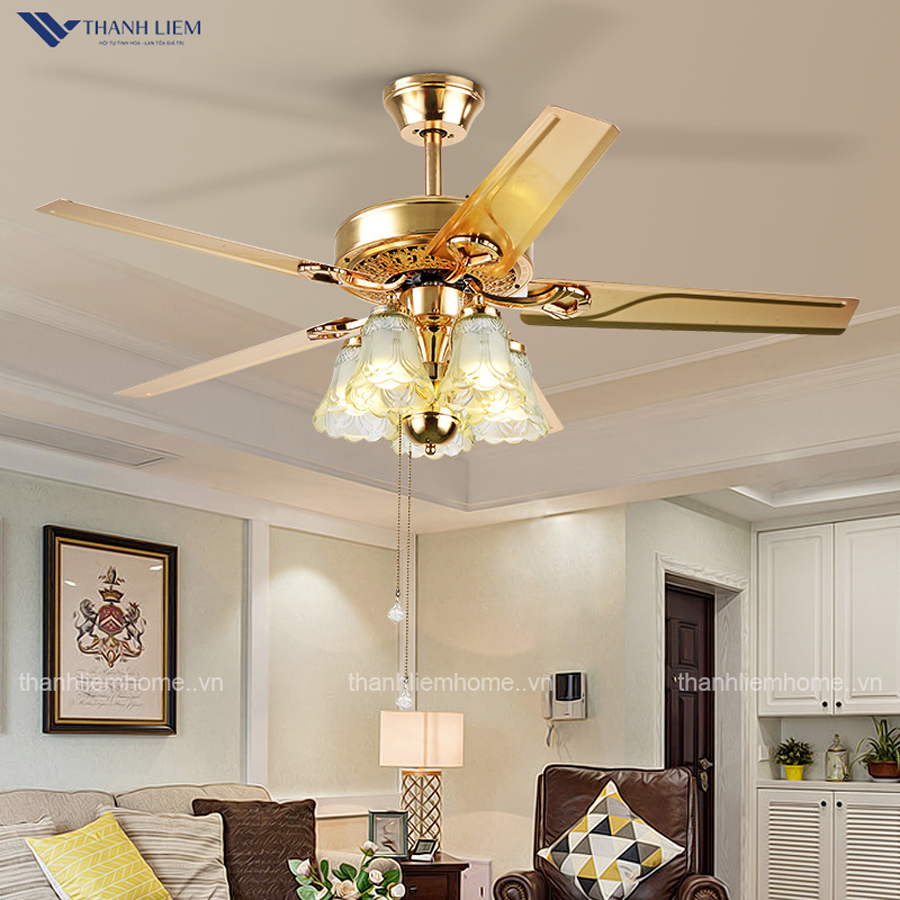 co nen chon mua quat tran canh go khong