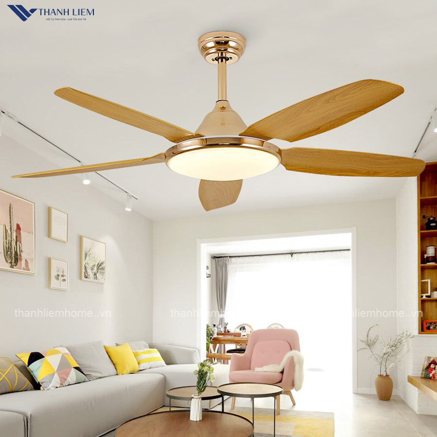 co nen chon mua quat tran canh go khong