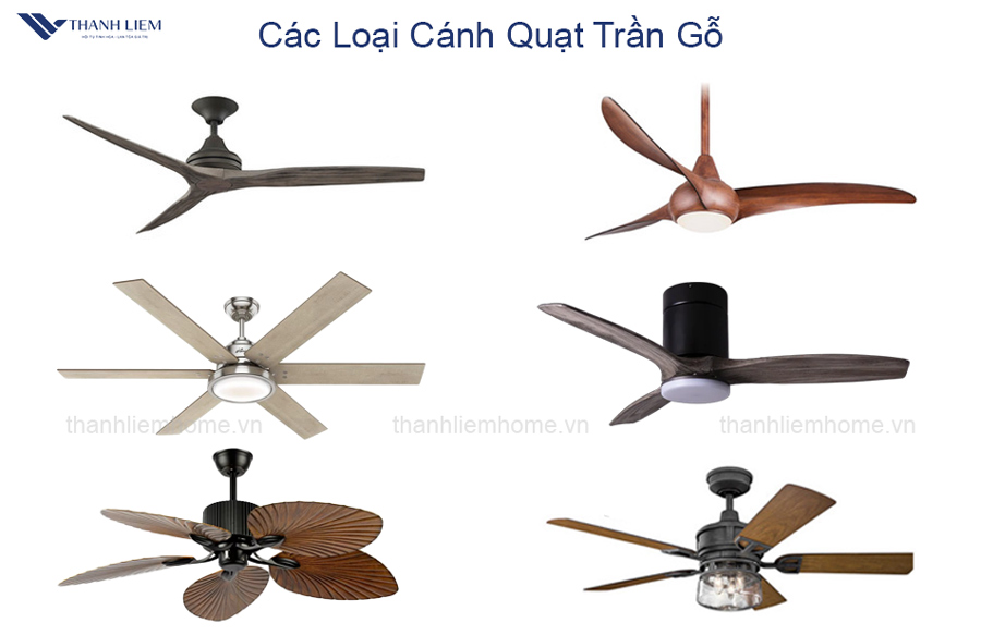 thiet ke cua quat tran canh go