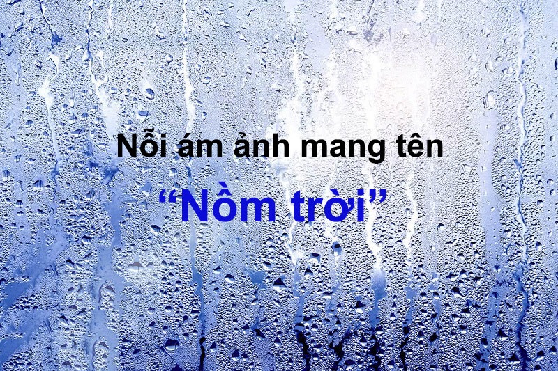 Gạch lát nền chống nồm là gì? Gợi ý các mẫu gạch chống nồm bền đẹp