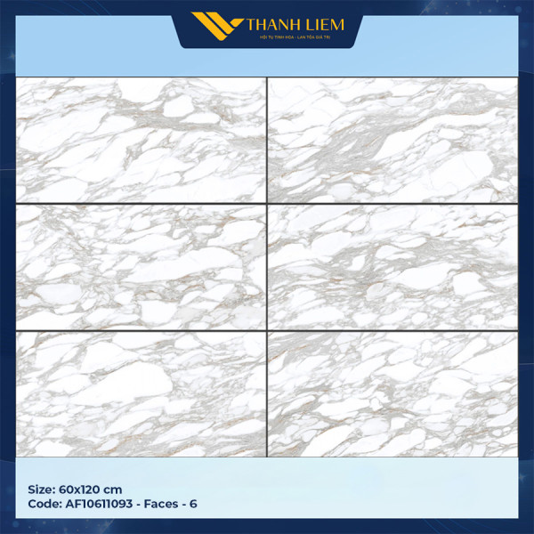 Gạch Apodio AF10611093 Kích Thước 60x120CM