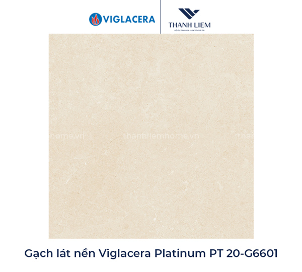 Gạch Viglacera Platinum PT 20-G6601