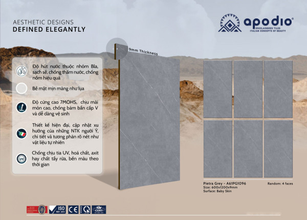 Gạch Apodio A61PG1096 Kích Thước 60x120CM