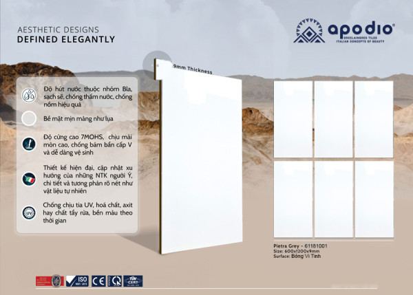 Gạch Apodio 61181001 Kích Thước 60x120CM