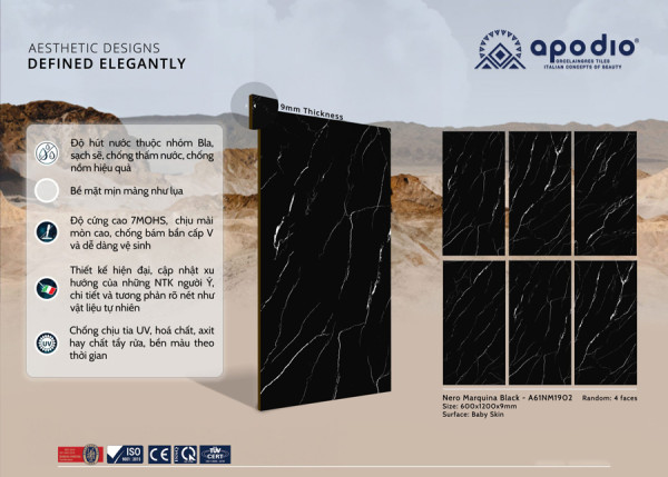 Gạch Apodio A61NM1902 Kích Thước 60x120CM