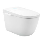 Bồn cầu điện tử INAX AC-816VN