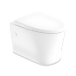 Bồn cầu treo tường American Standard WP-2265