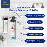 Máy lọc nước Pentair Everpure PBS-400 (SA10541)