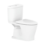Bồn cầu 2 khối American Standard VF-2162