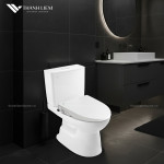 Bồn Cầu 2 Khối INAX AC-514A + Nắp Rửa Cơ CW-S15VN 