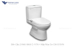 Bồn cầu 2 khối INAX C-117A + Nắp rửa Cơ CW-S15VN