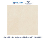 Gạch Viglacera Platinum PT 20-G6601