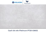 Gạch lát nền Platinum PT20-G6602