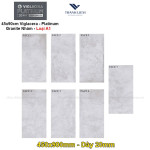 Gạch ốp lát Platinum PT 20-G45902