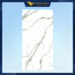 Gạch  Eurotile SIG P61206 Kích Thước 60x120