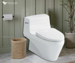 Bồn cầu 1 khối INAX AC-1135VN