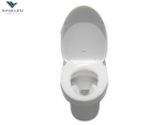 Bàn cầu 1 khối Inax AC-900VRN-2/BW1