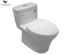 Bàn cầu 1 khối Inax AC-900VRN-2/BW1