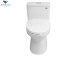 Bàn cầu 1 khối Inax AC-969VN-2/BW1