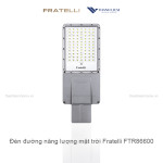 Đèn đường năng lượng mặt trời Fratelli FTR86600