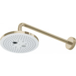 Bát Sen Gắn Tường TOTO TBW01004A#BFG 2 Chế Độ Vàng Pháp Mờ