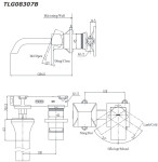 Vòi lavabo nóng lạnh gắn tường GC TOTO TLG08307BA 