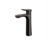  Vòi lavabo nóng lạnh GO TOTO TLG01306B#MBL